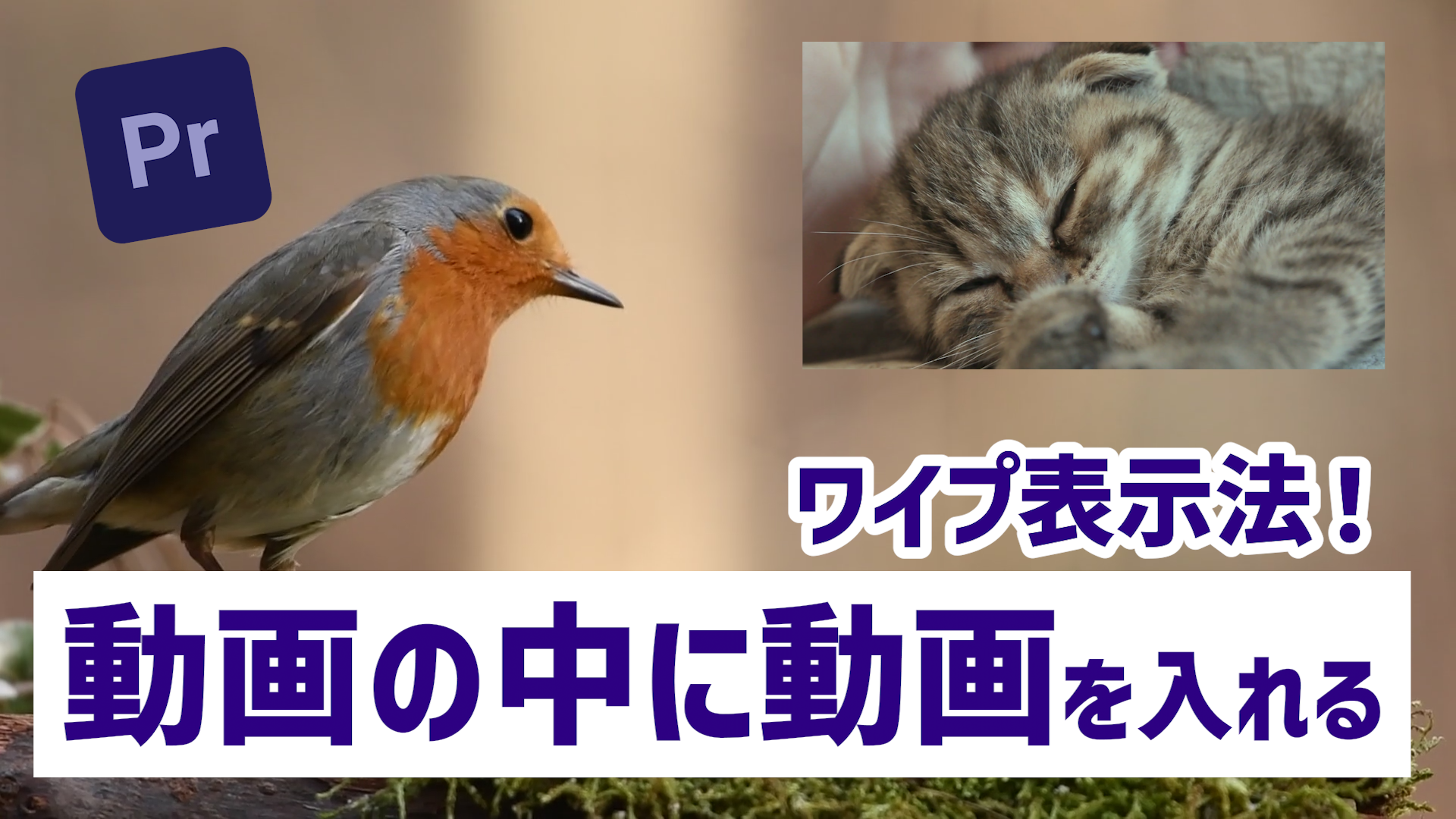 複数の画像や動画素材を同時表示-ワイプ／ピクチャーインピクチャー